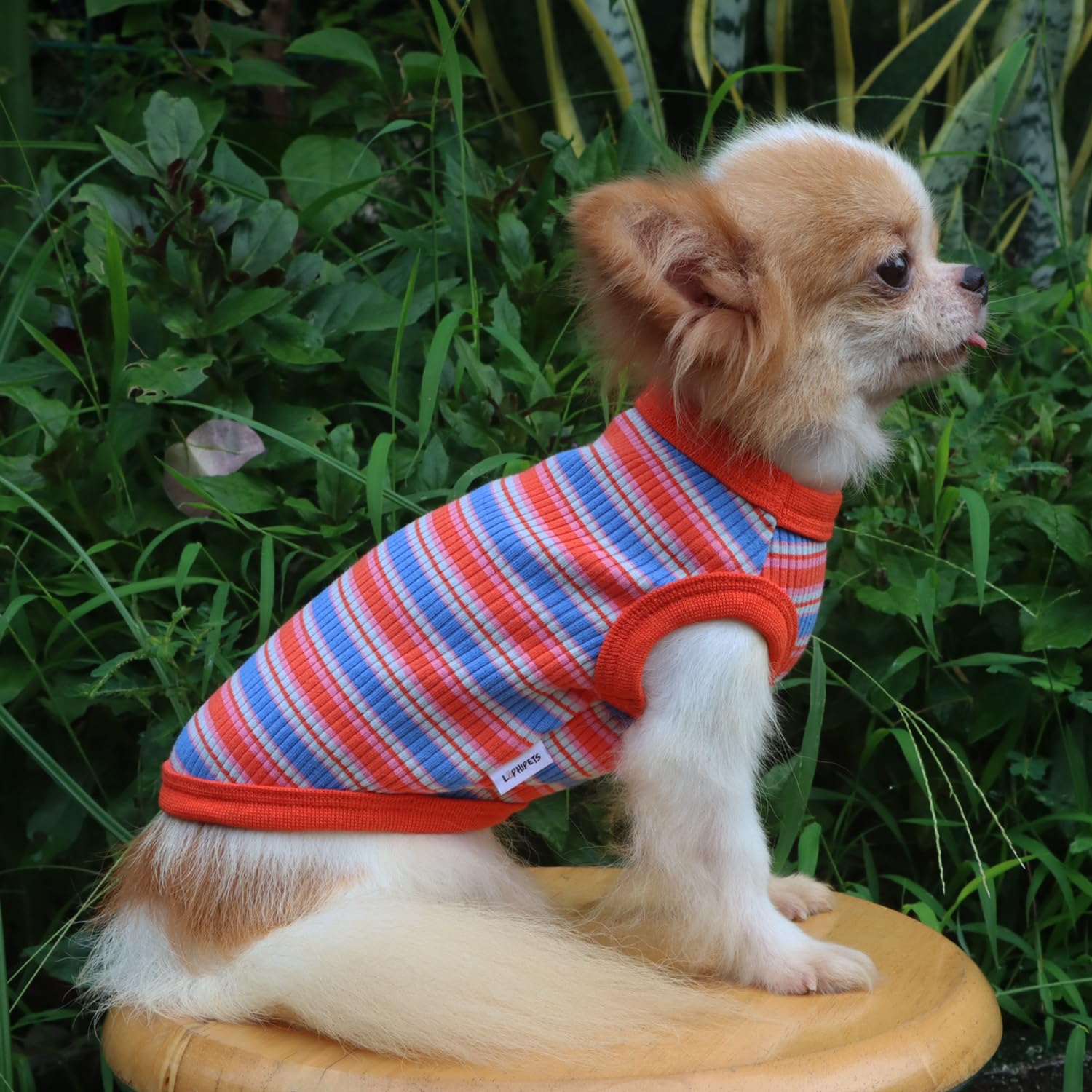 LOPHIPETS indoor-outdoor red dog shirt for small dogs