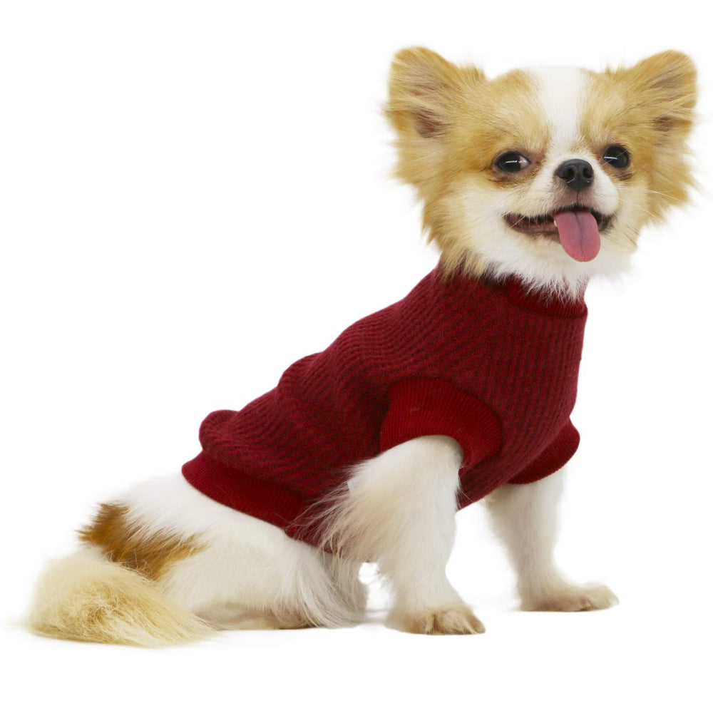 LOPHIPETS lightweight dog sweater on Chihuahua front view for warmth and easy wear