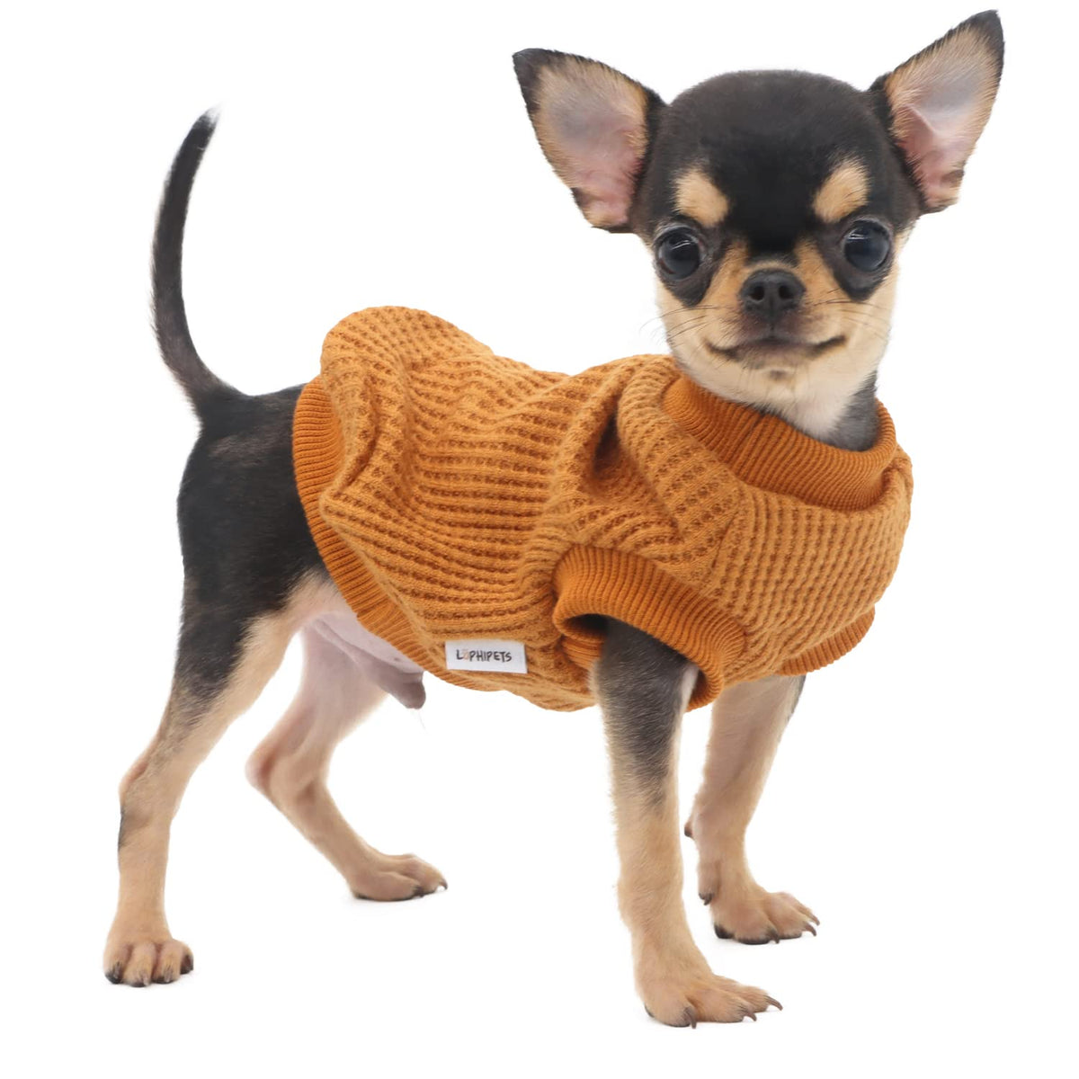 LOPHIPETS lightweight dog sweater yellow XS front view keeps small dogs warm on chilly walks