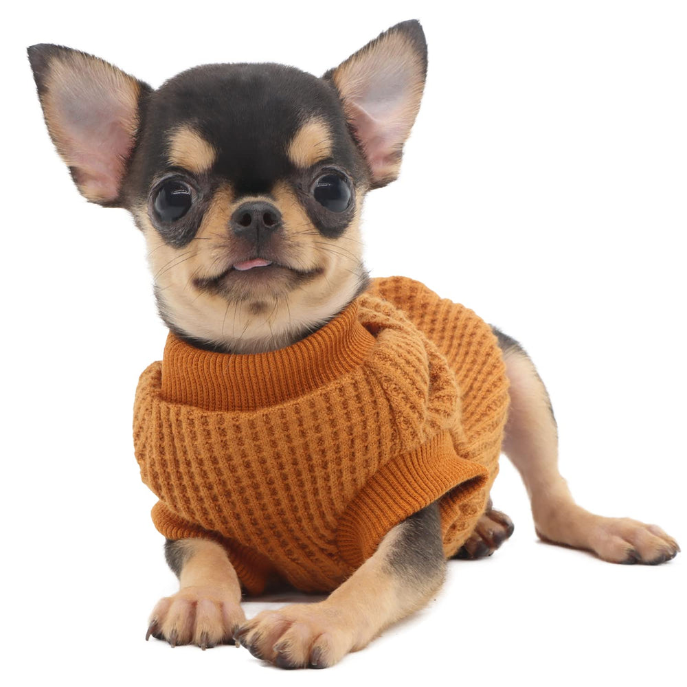 LOPHIPETS lightweight dog sweater yellow XS side view enhances visibility during outdoor strolls