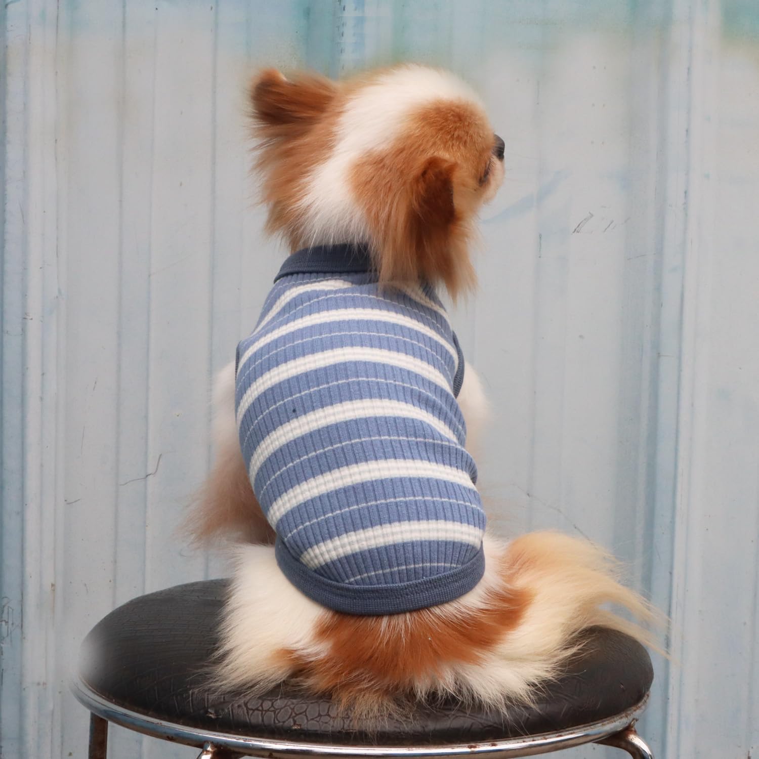 LOPHPETS machine-wash-cold label for easy care.