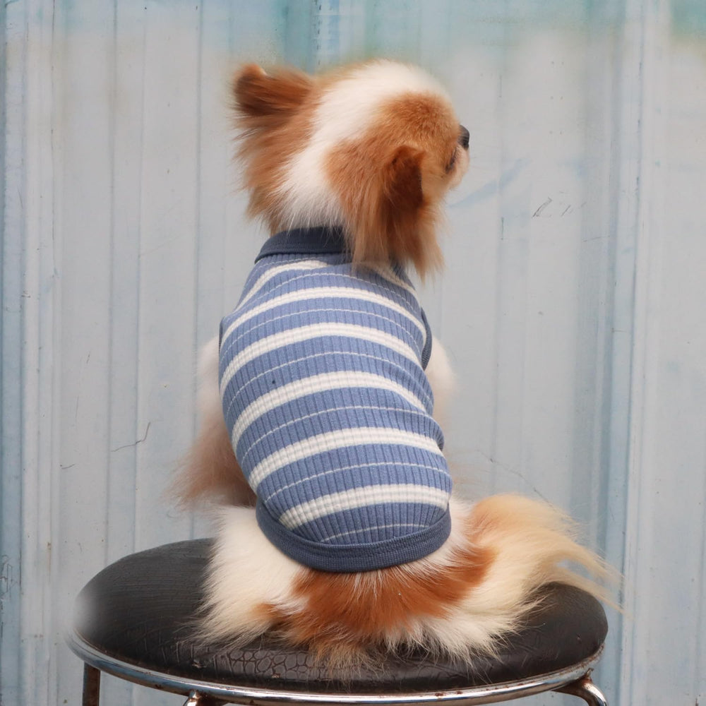LOPHPETS machine-wash-cold label for easy care.