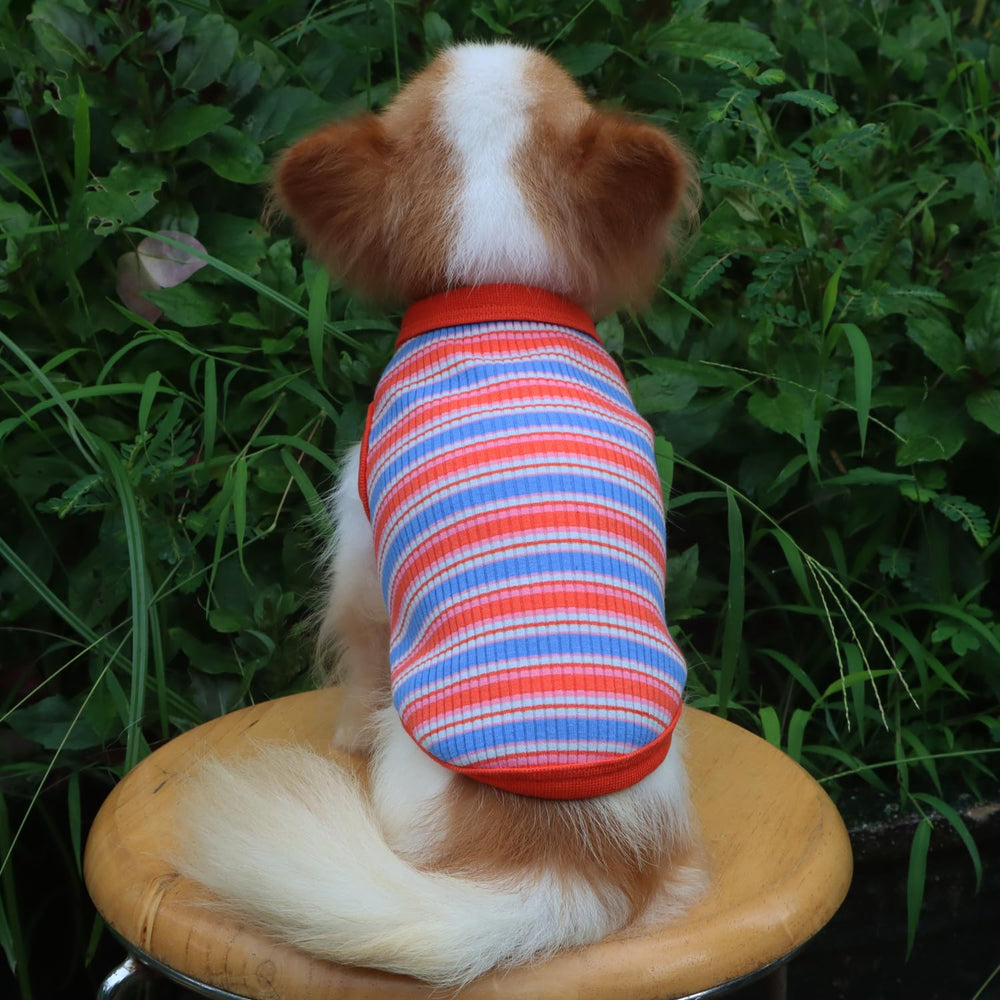LOPHIPETS machine-washable cold-water dog shirt for simple cleaning