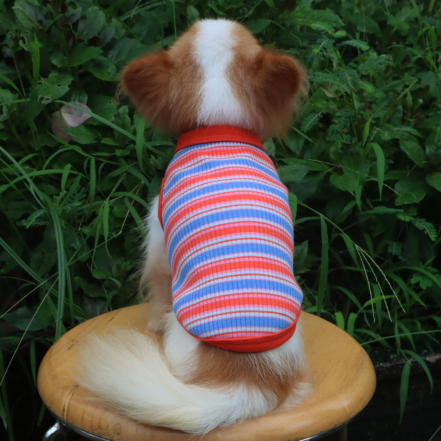 LOPHIPETS rib dog shirt—machine-washable in cold water for easy care.