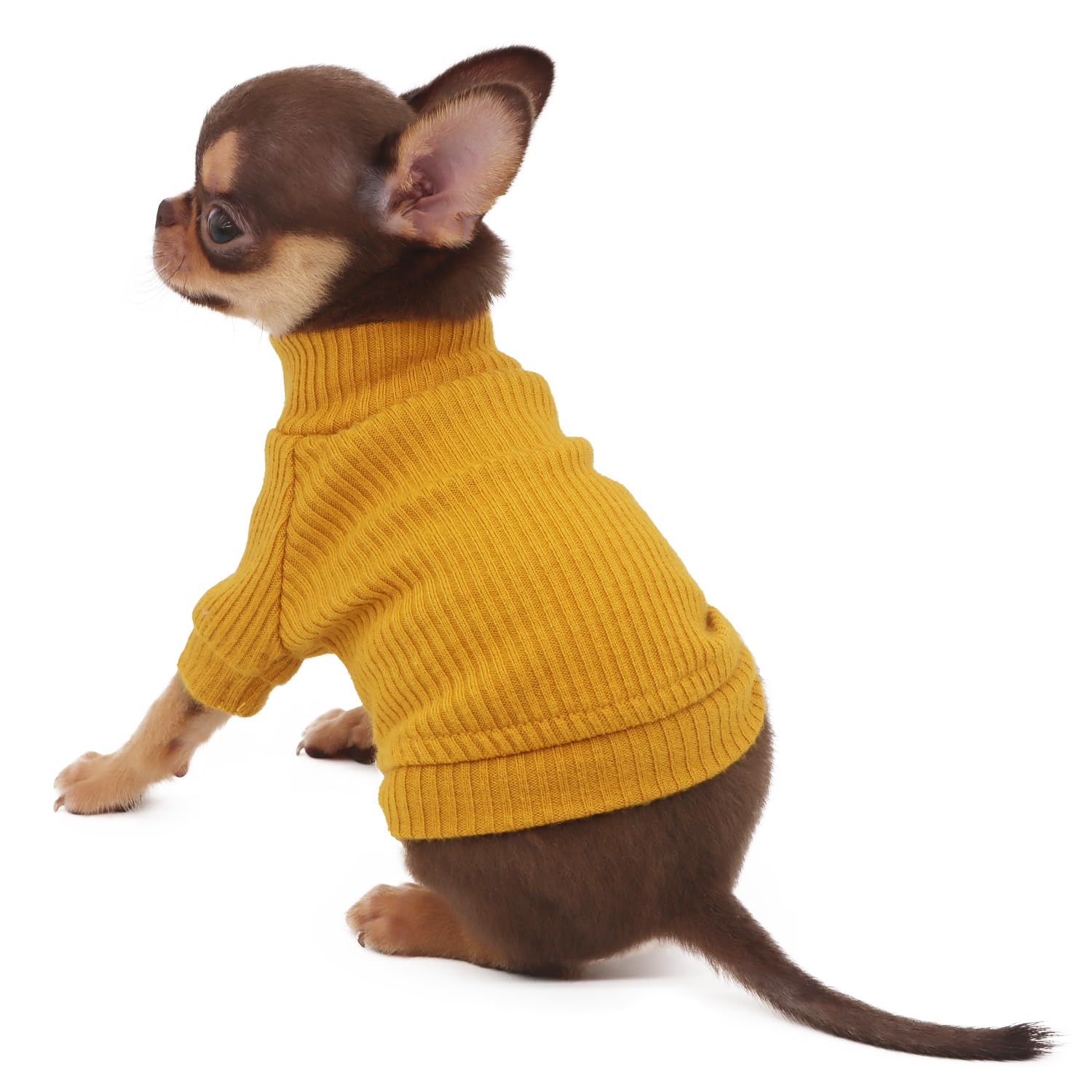 LOPHIPETS small dog turtleneck yellow XS back view — secure, stretchy fit for tiny pups.