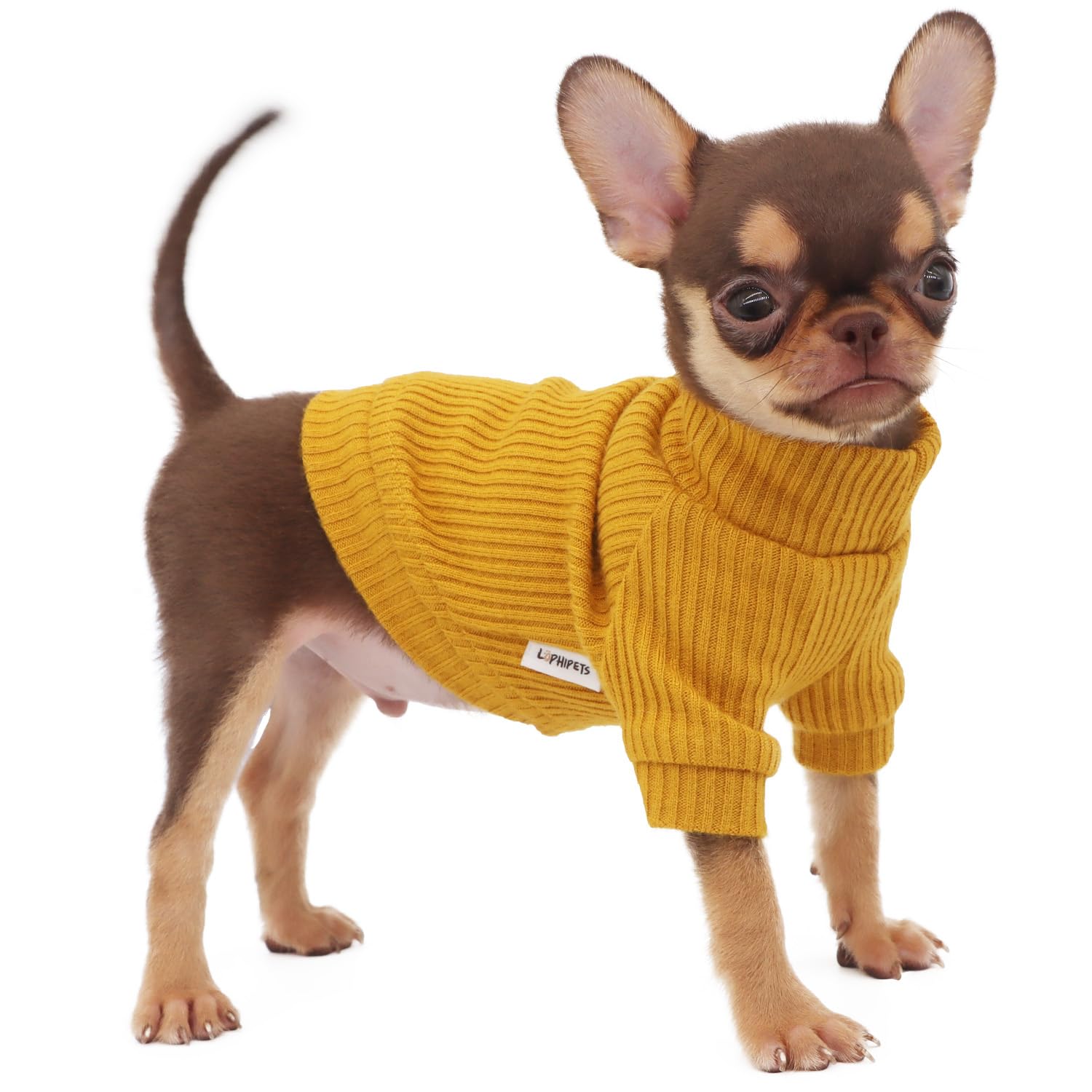 LOPHIPETS small dog turtleneck yellow XS front view — lightweight warmth for chilly walks.