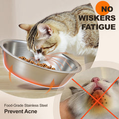 Loplurea tilted feeding stand reduces whisker fatigue during meals