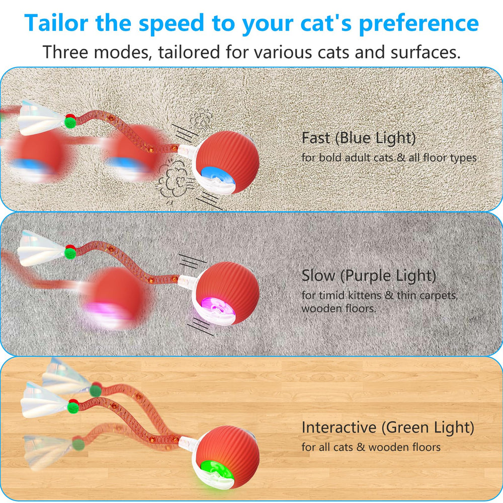 LORDTEC chirping motion-activate feature keeps cat curious and engaged.