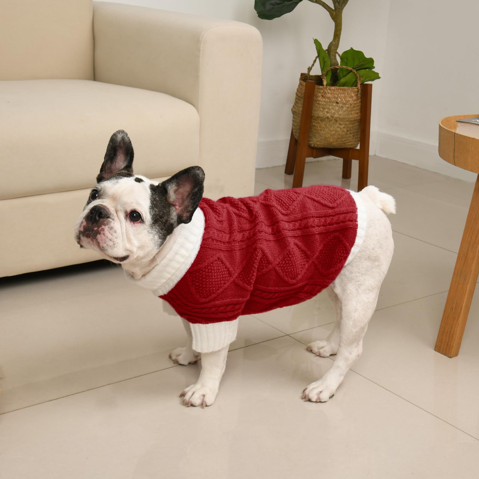 Lorehelina Christmas-ready red sweater for family photos and seasonal outings