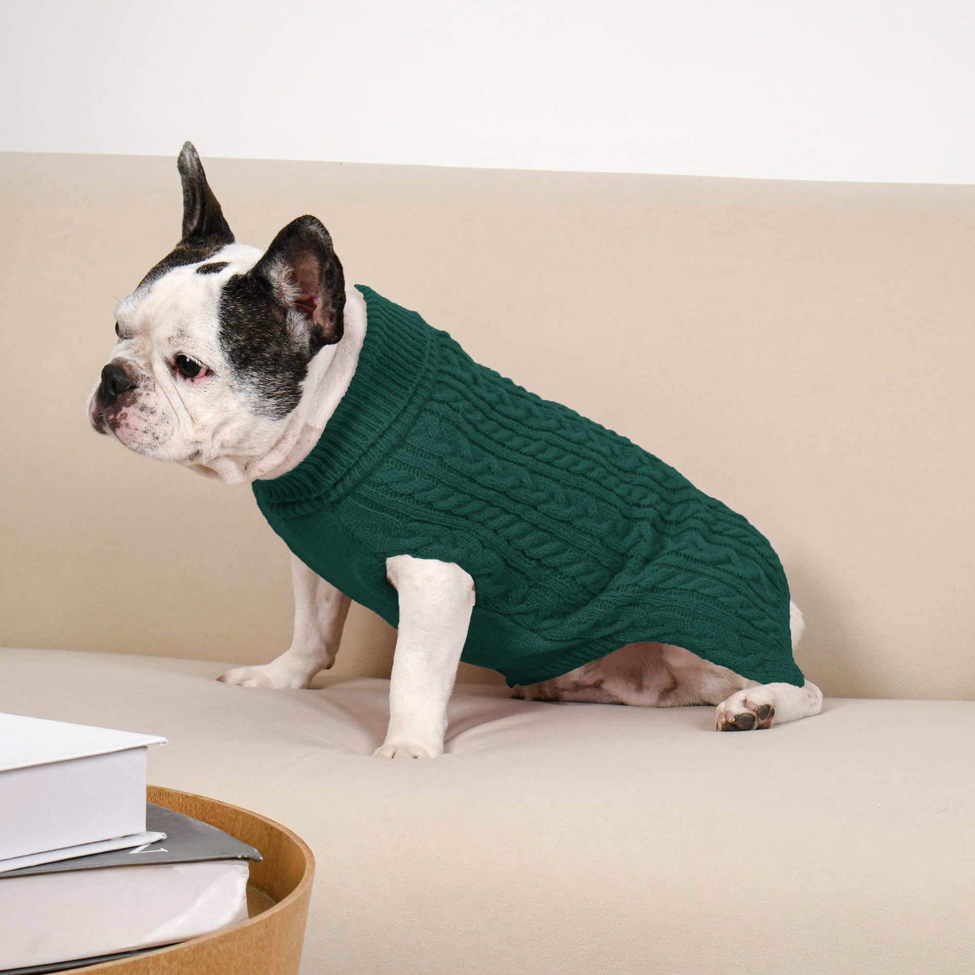 Lorehelina holiday style sweater ready for festive photos