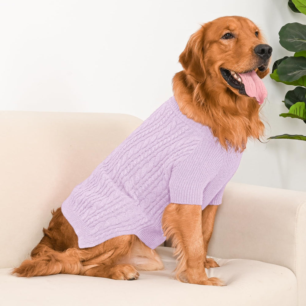 Lorehelina dog sweater on a large breed like a golden retriever for comfort.