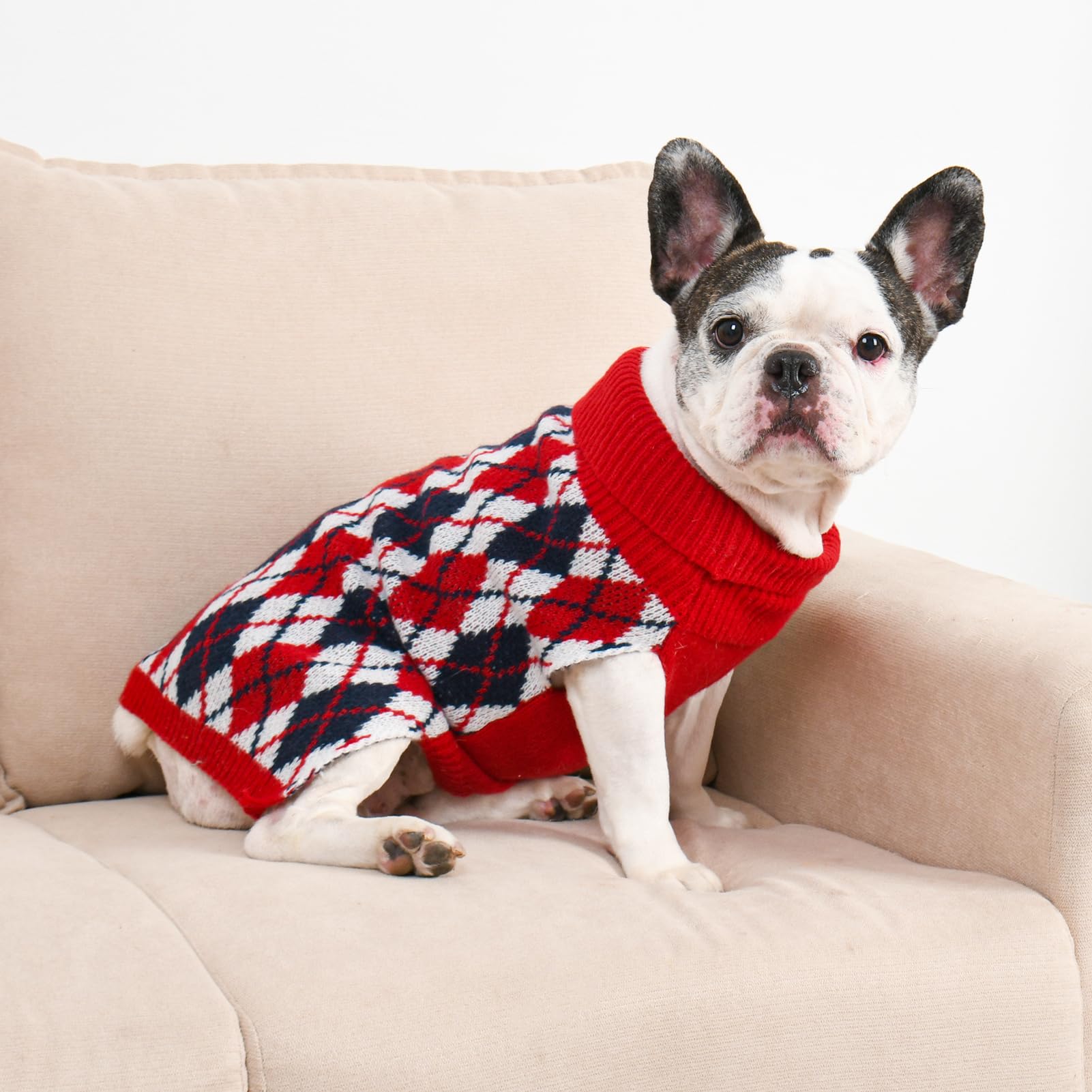 Lorehelina dog sweater plaid Christmas photoshoot ready for festive moments.