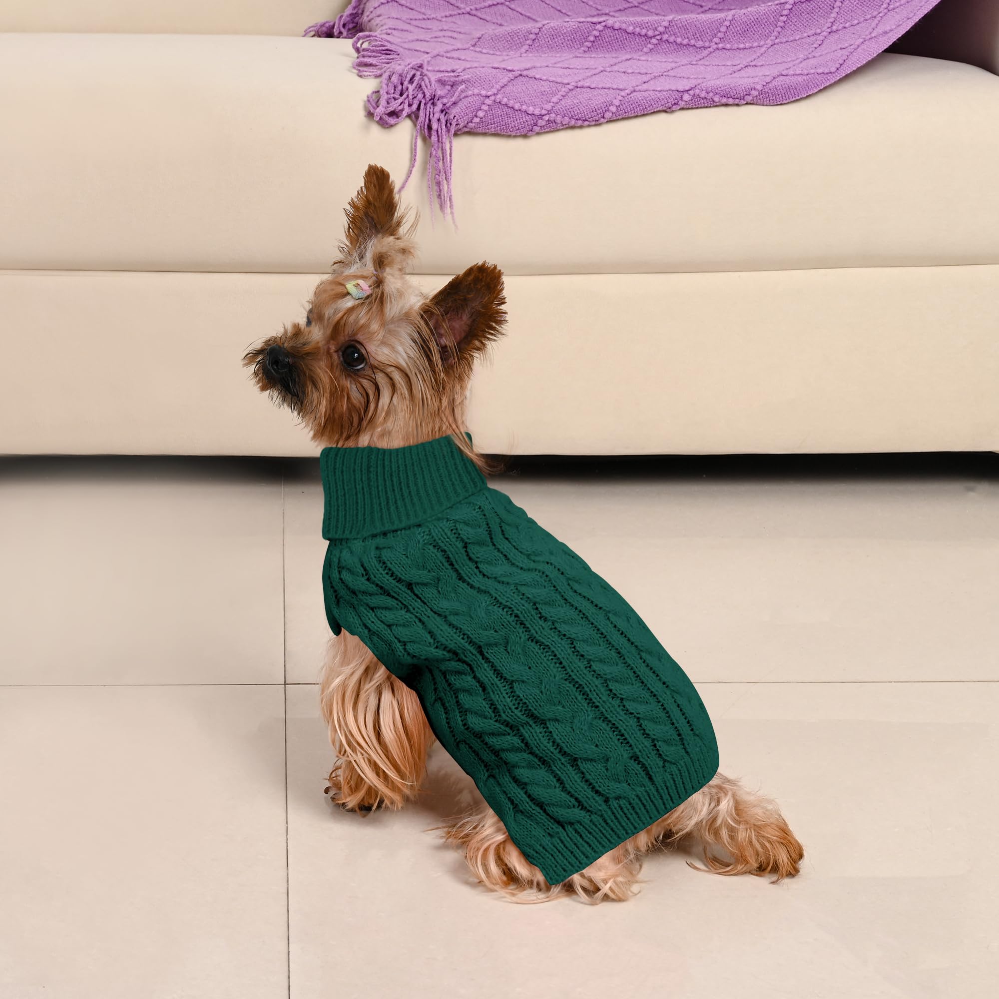 Lorehelina dog sweater reinforced stitching closeup signals long-lasting wear.