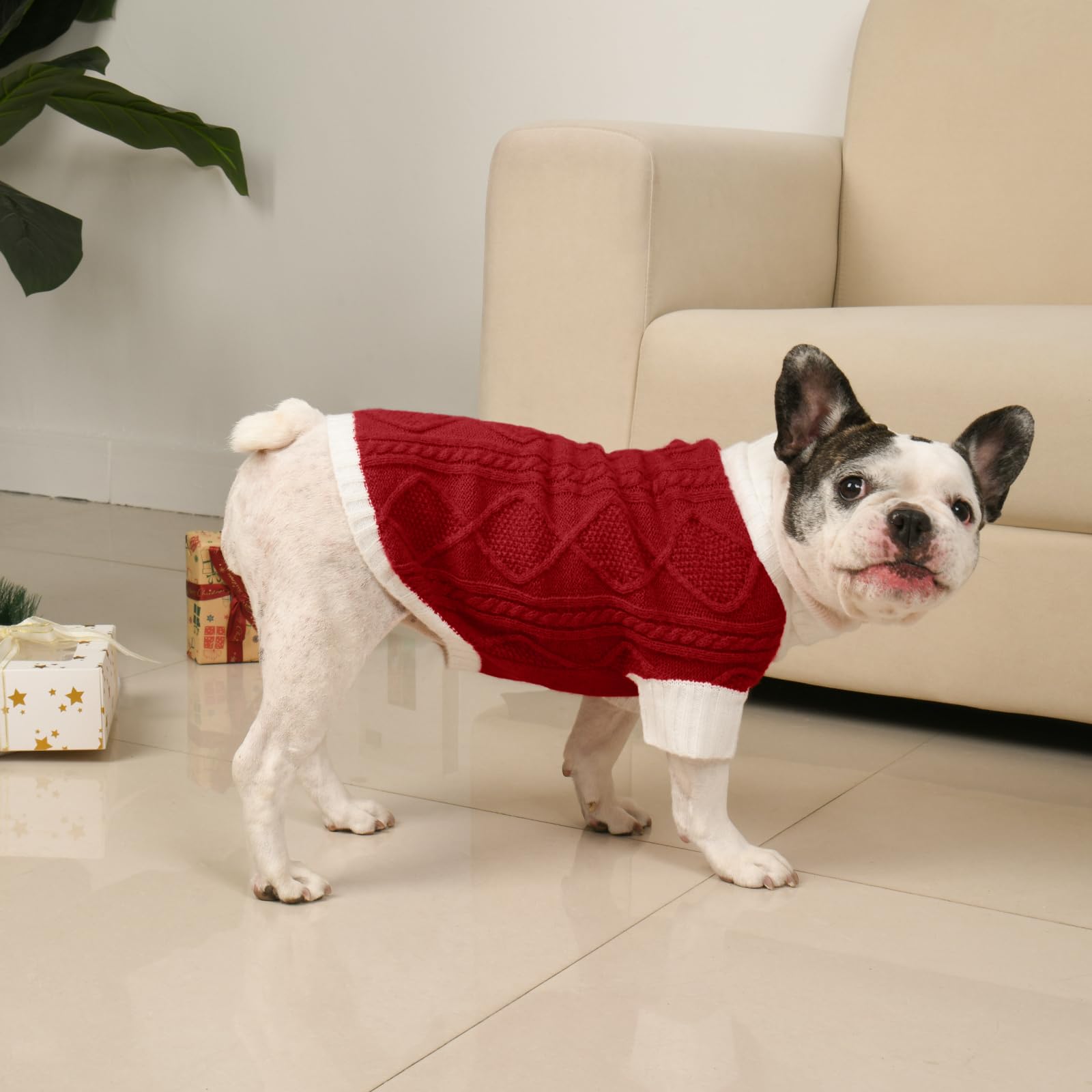 Lorehelina size-guide-friendly red sweater fits 21-inch chest for medium breeds