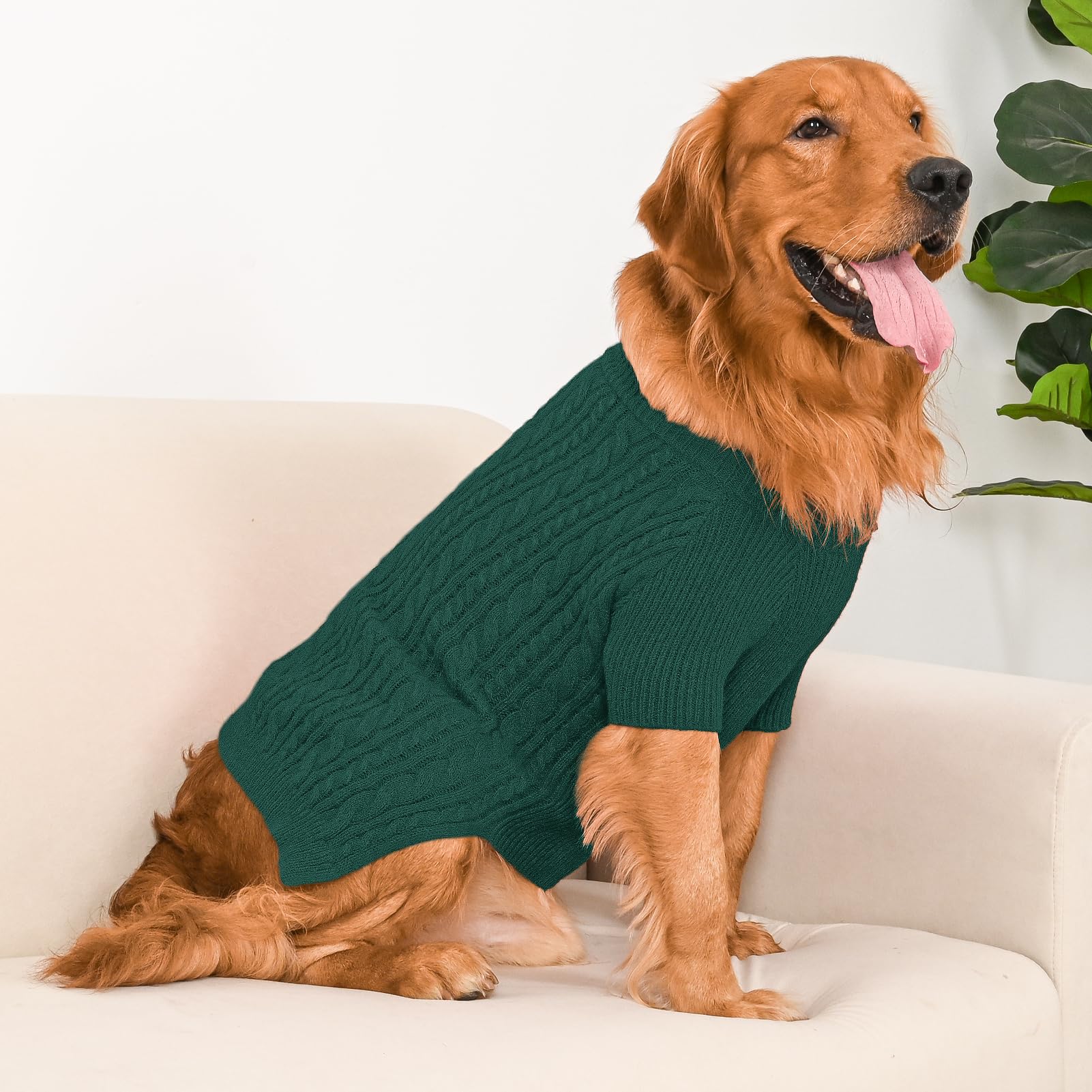 Lorehelina green sweater ideal for festive seasons with six warm tones