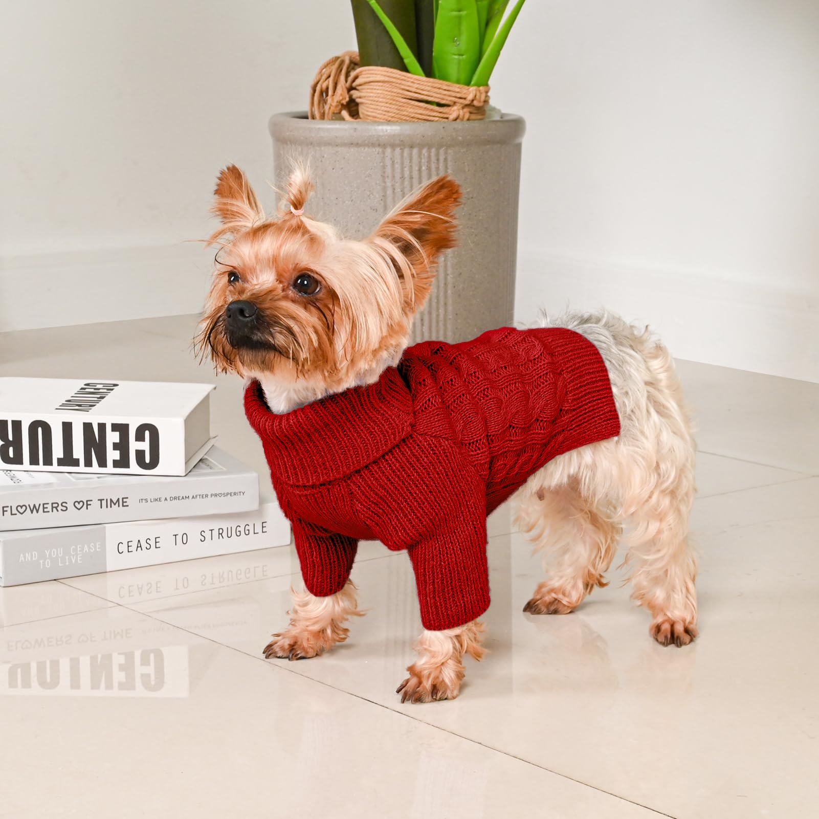 Lorehelina dog sweater festive style shot shows six warm tones for holiday outfits.