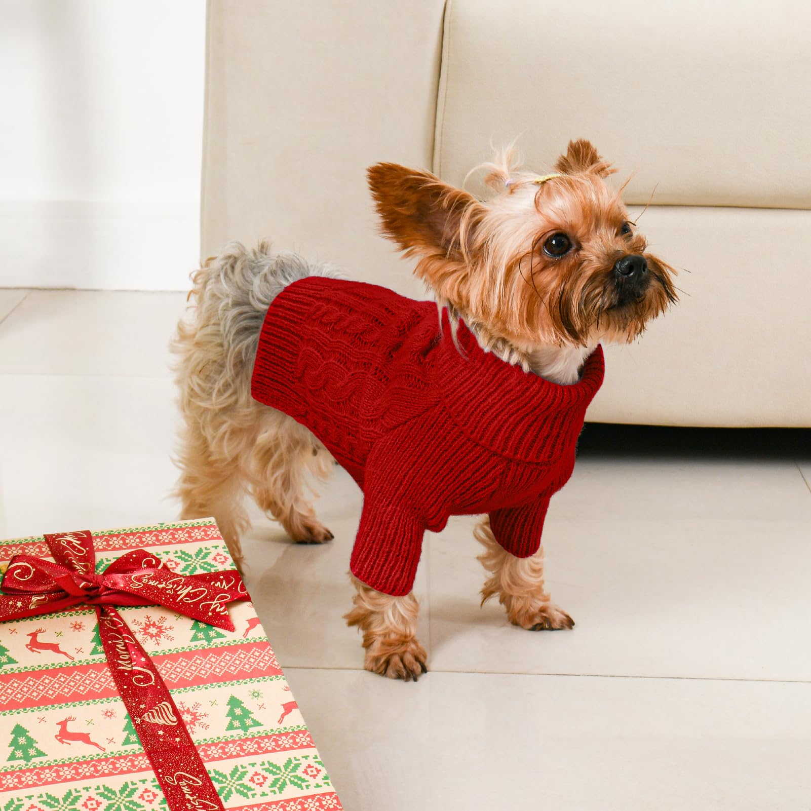 Lorehelina dog sweater on small dog demonstrates holiday-ready warmth and style.