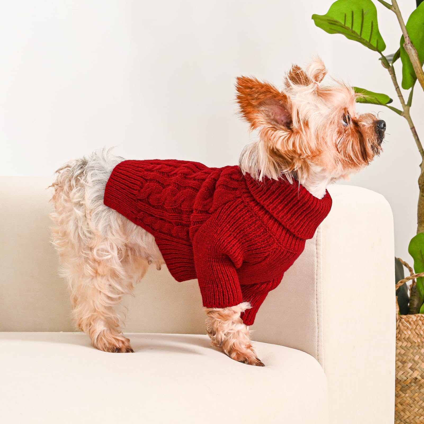 Lorehelina dog sweater turtleneck close-up highlights cozy neck warmth and festive flair.