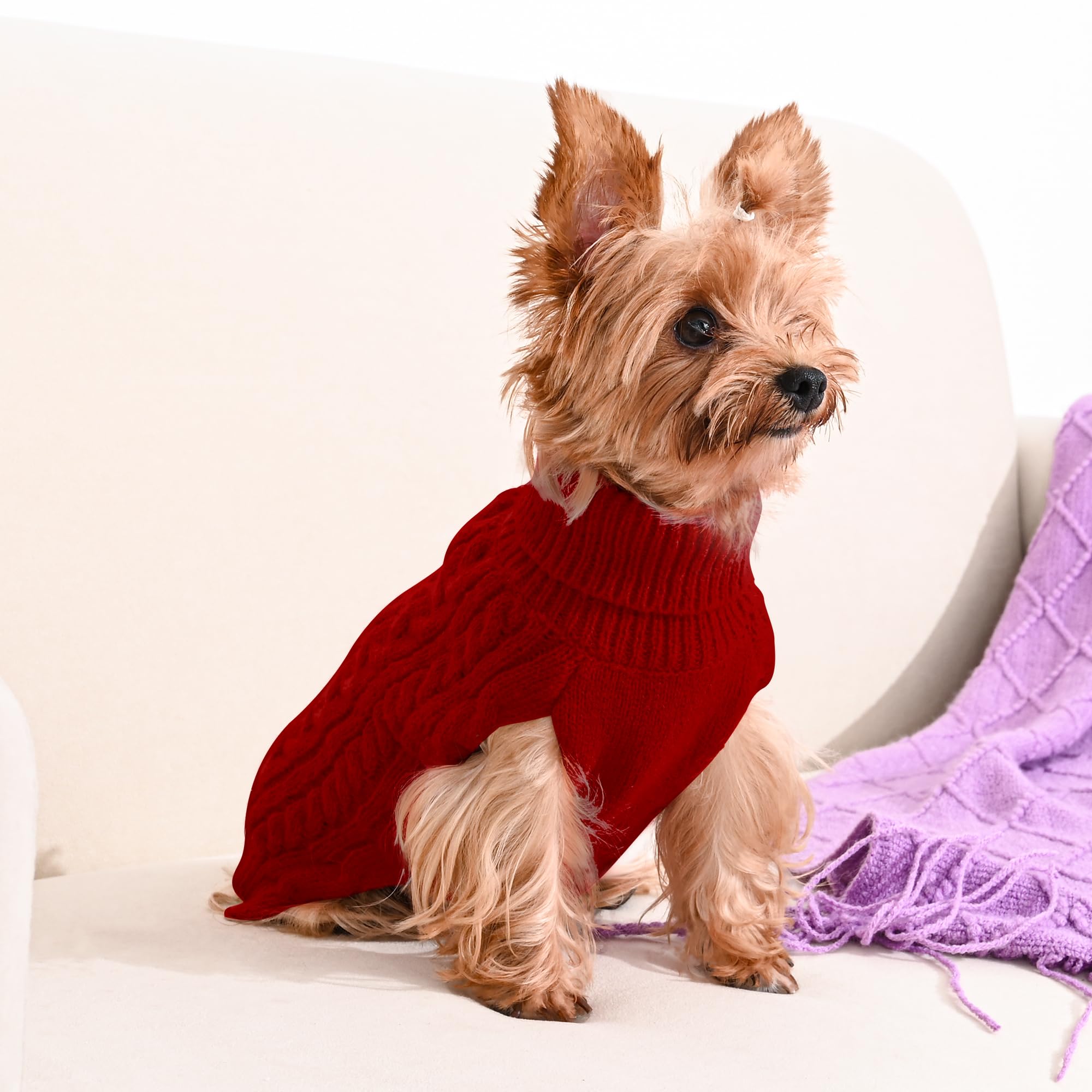 Lorehelina dog sweater two-pack flatlay presents red and green options for styles.