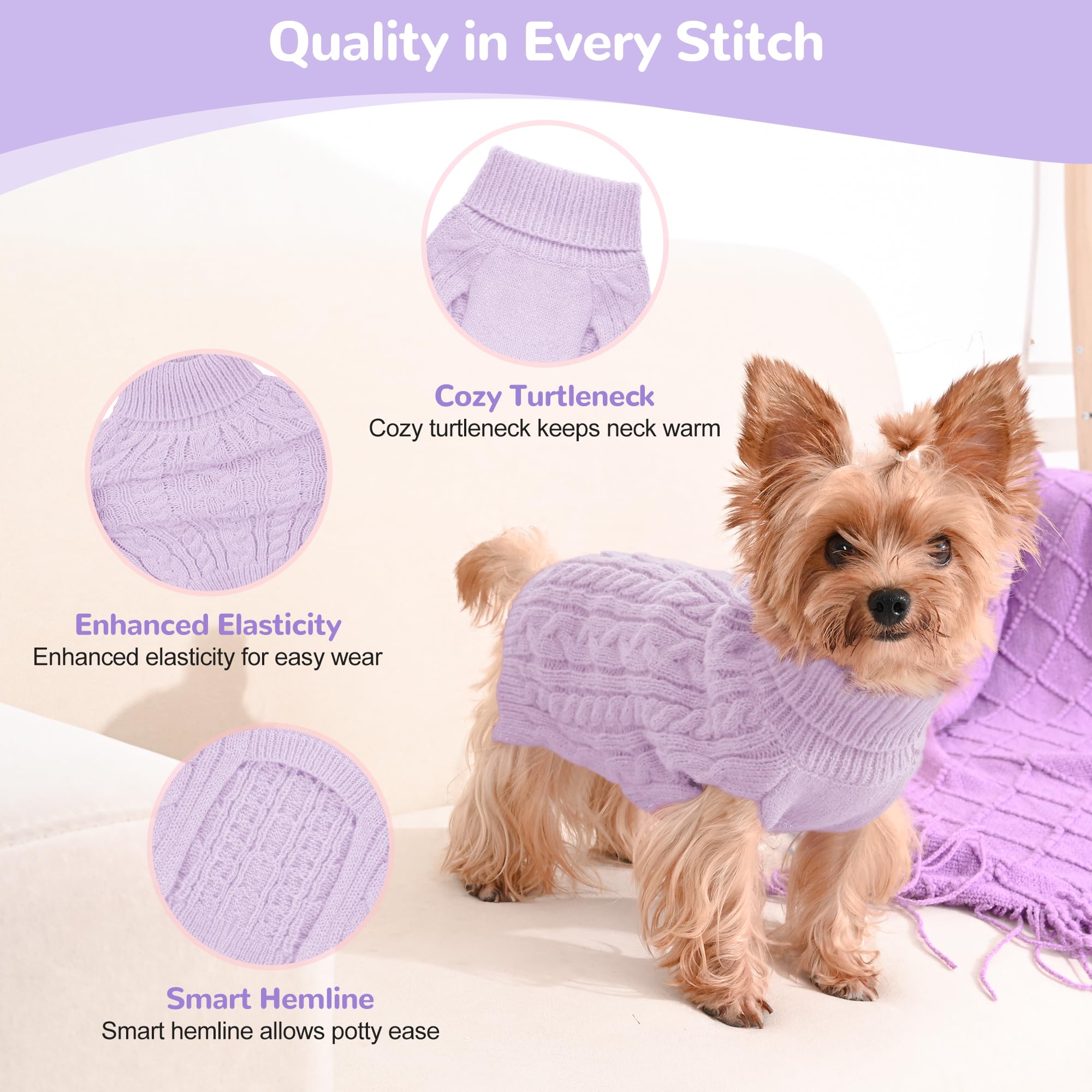 Lorehelina small dog in pink-purple sweater shows snug turtleneck fit