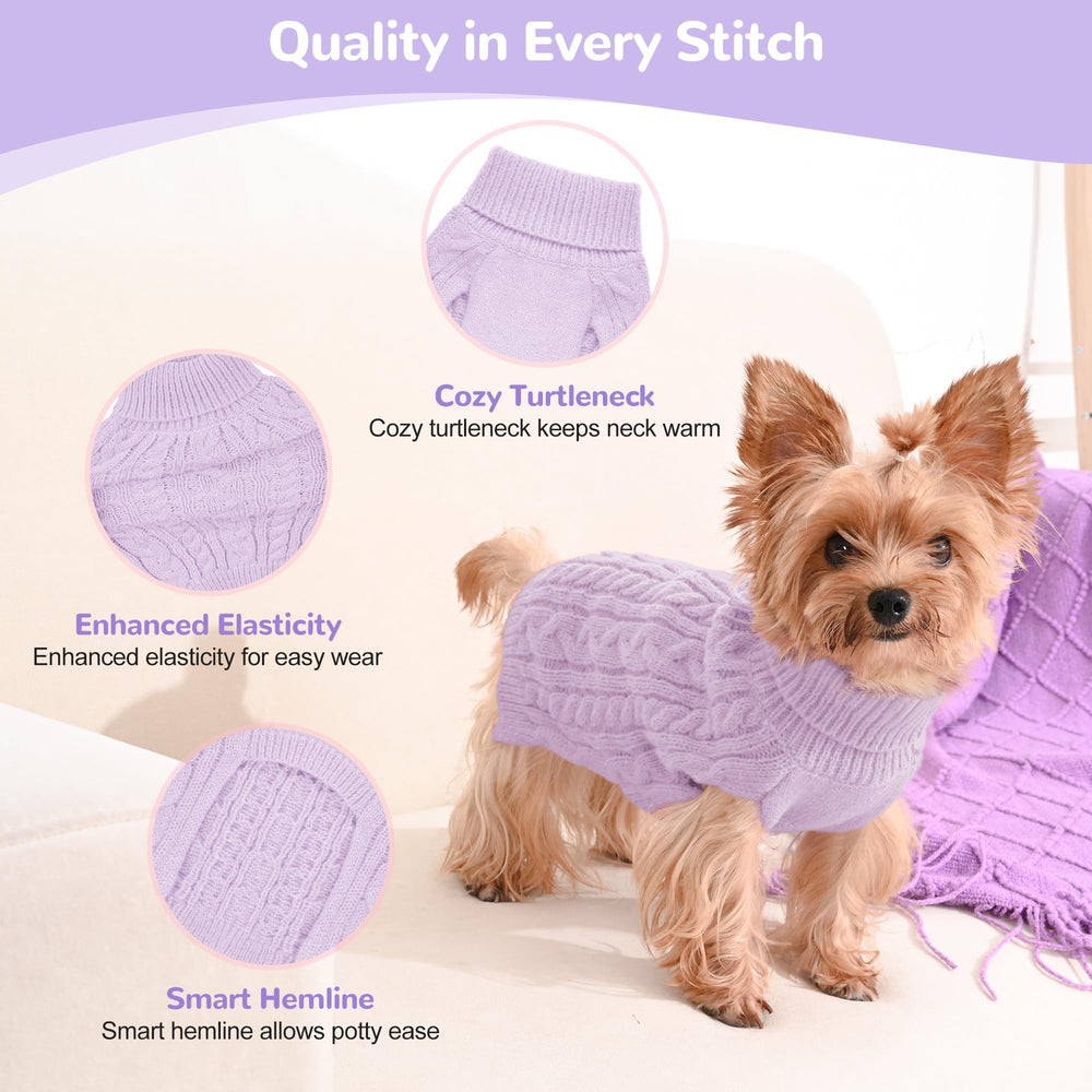 Lorehelina small dog in pink-purple sweater shows snug turtleneck fit