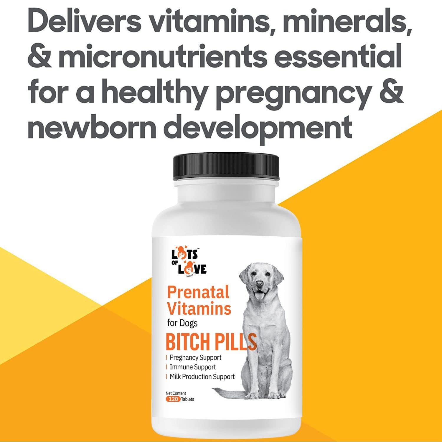 Lots of Love Bitch Pills calcium and iron focus image signals fetal bone formation and blood cell support.