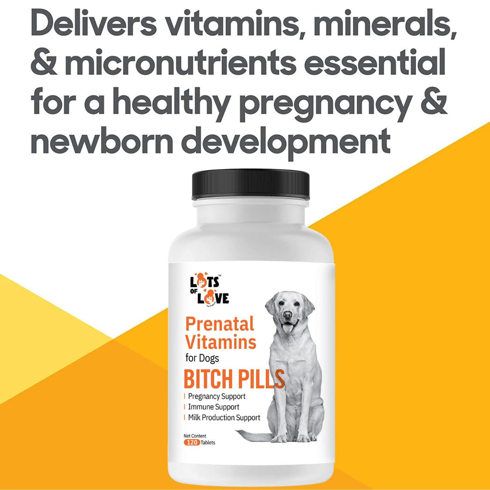 Lots of Love Bitch Pills calcium and iron focus image signals fetal bone formation and blood cell support.