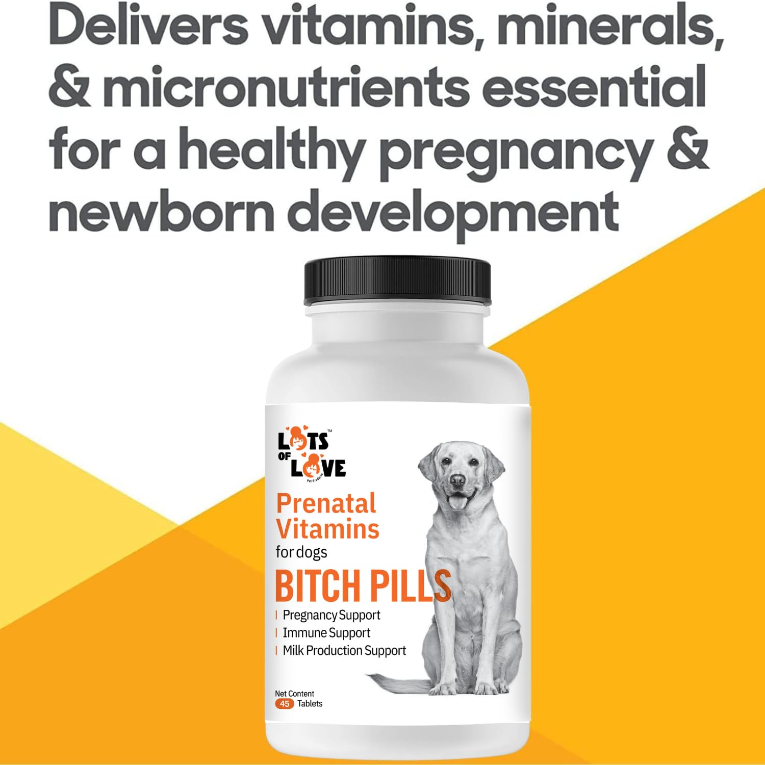 Lots of Love Bitch Pills dosing guide illustration for prenatal, nursing, and weaning support.