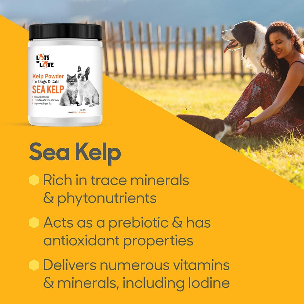 LOTS OF LOVE kelp granules – digestion-friendly supplement