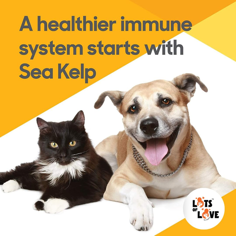 LOTS OF LOVE Norwegian sea kelp harvest – minerals from cold coast