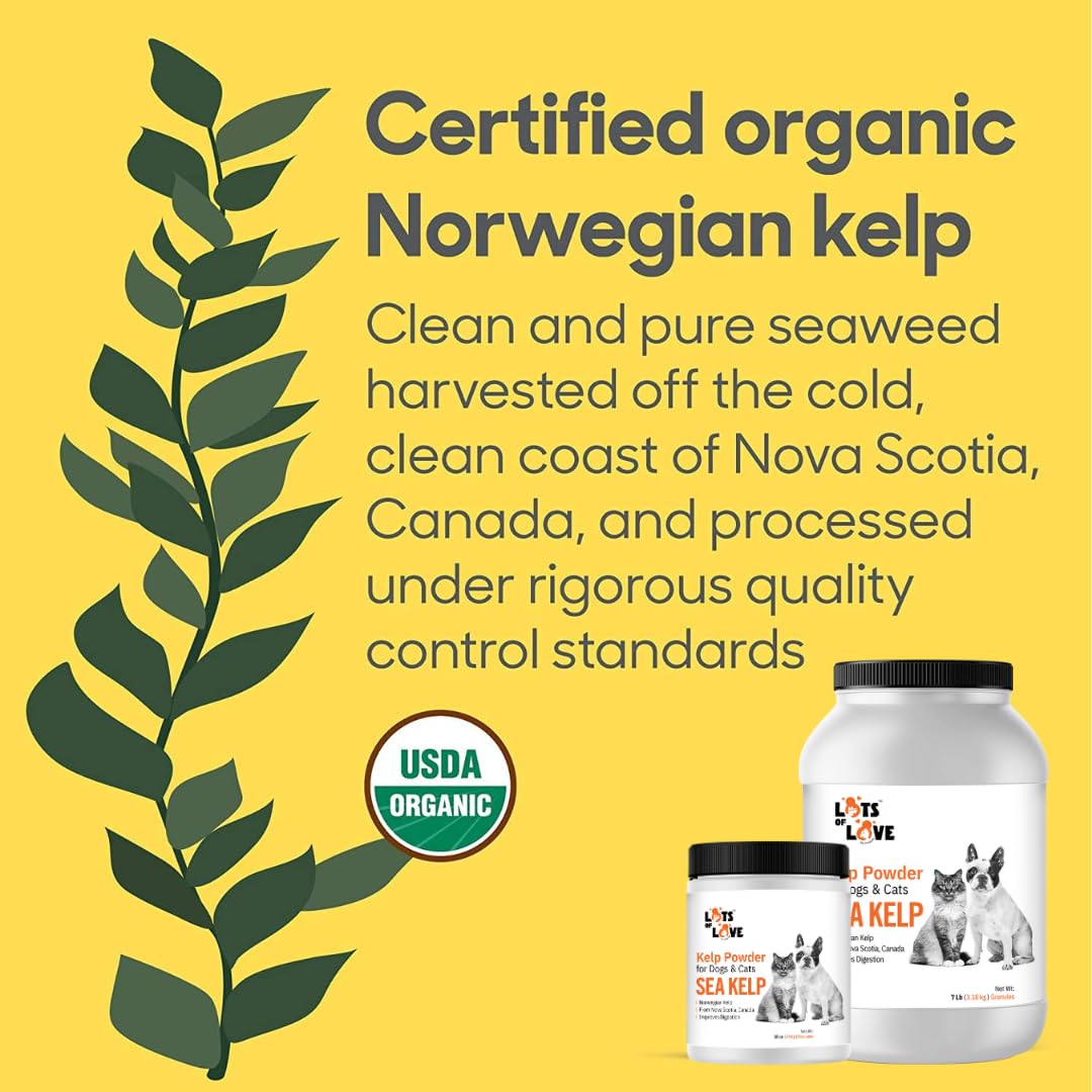 LOTS OF LOVE kelp packaging – fresh organic sea kelp