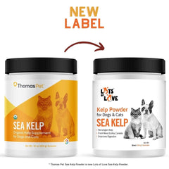 LOTS OF LOVE sea kelp scoops – easy dosing, immune support