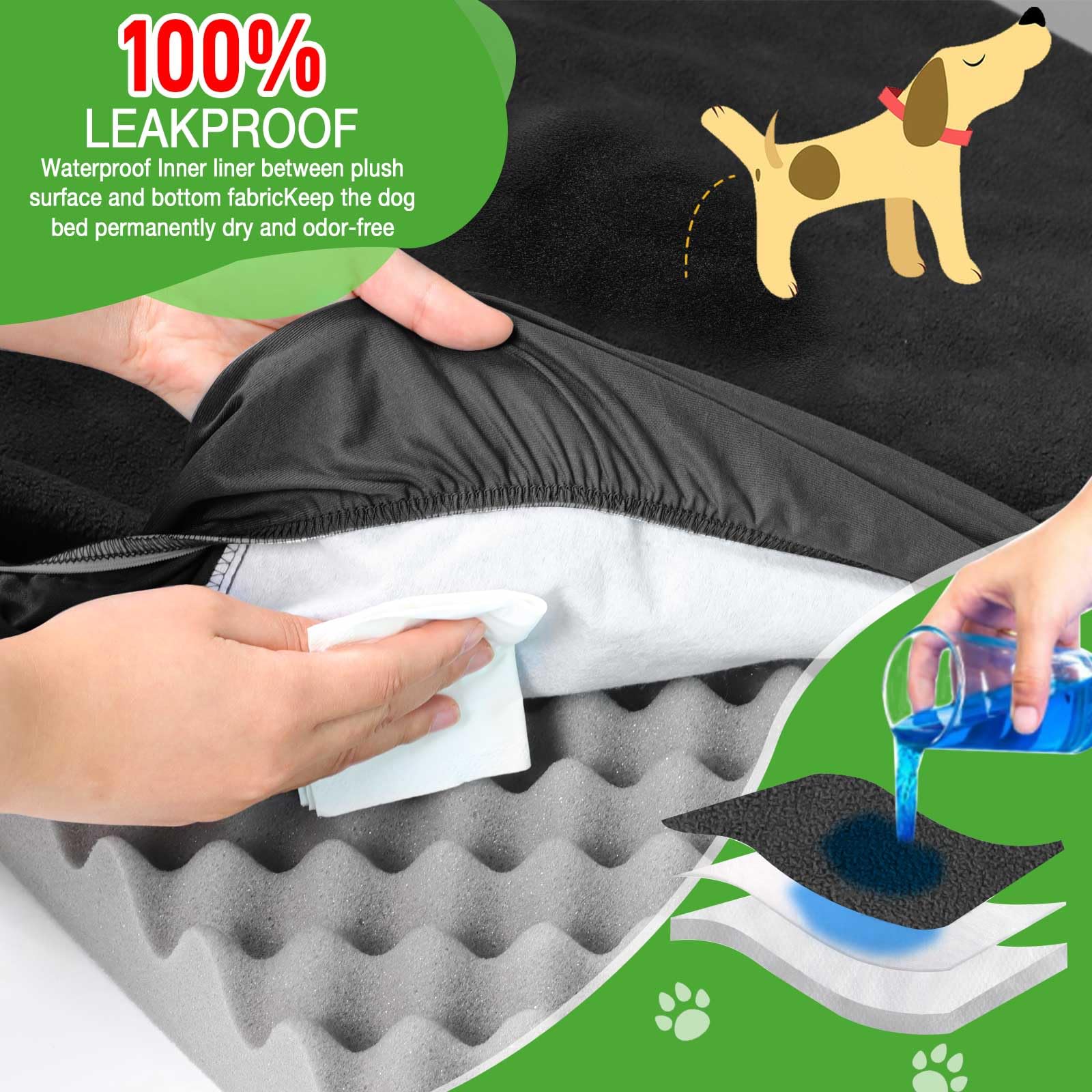 LotuFlor two-pack shown for easy replacement and extended bed life.