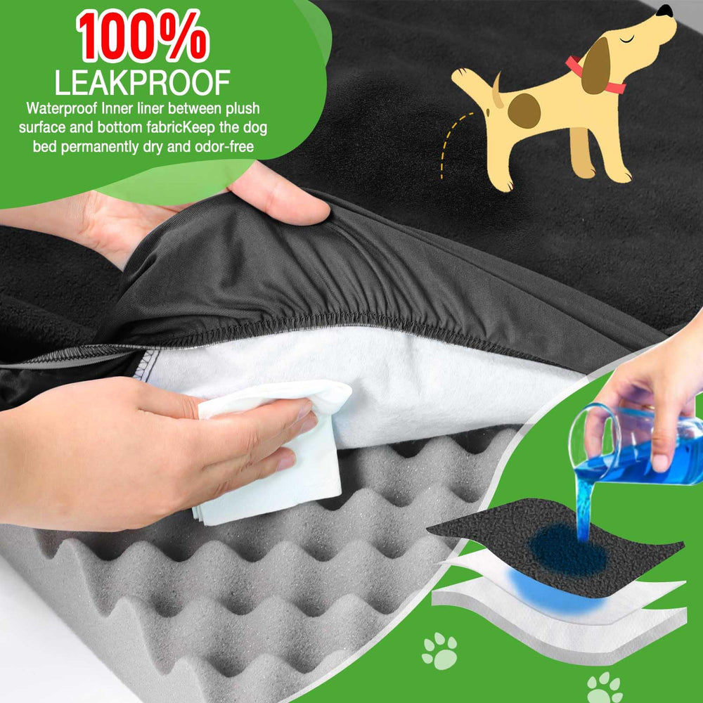LotuFlor two-pack shown for easy replacement and extended bed life.