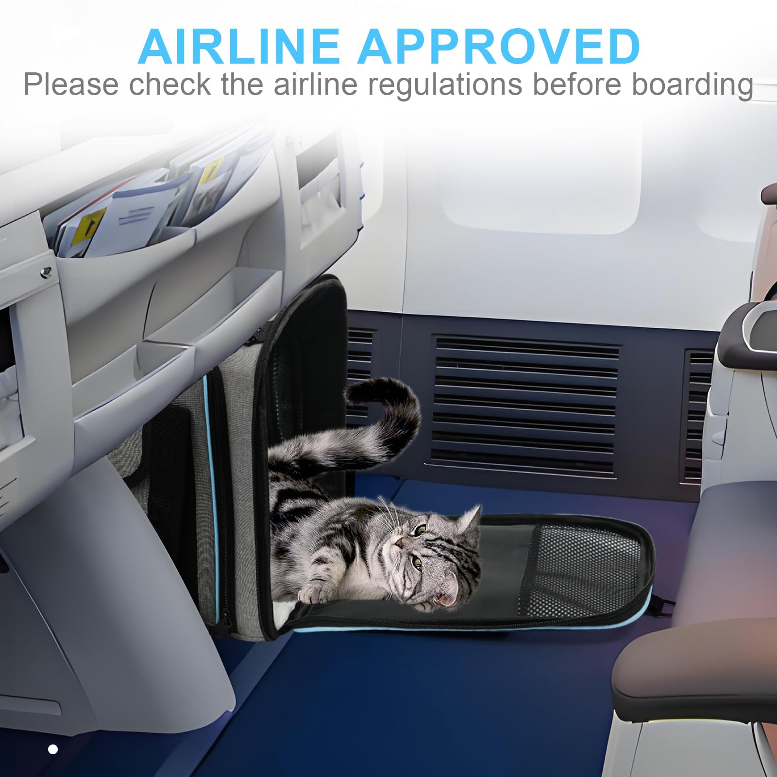 lounginglife collapsible tsa-approved pet carrier folds flat for storage.