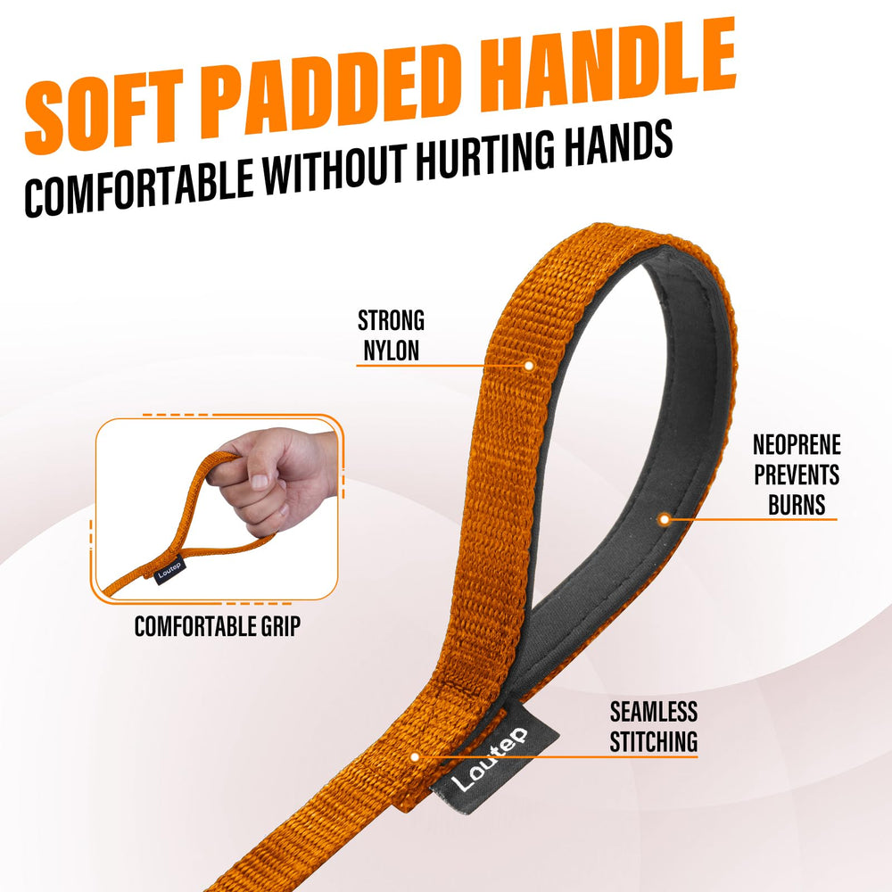 Loutep dog training leash 30ft extended supports distance work and exploration