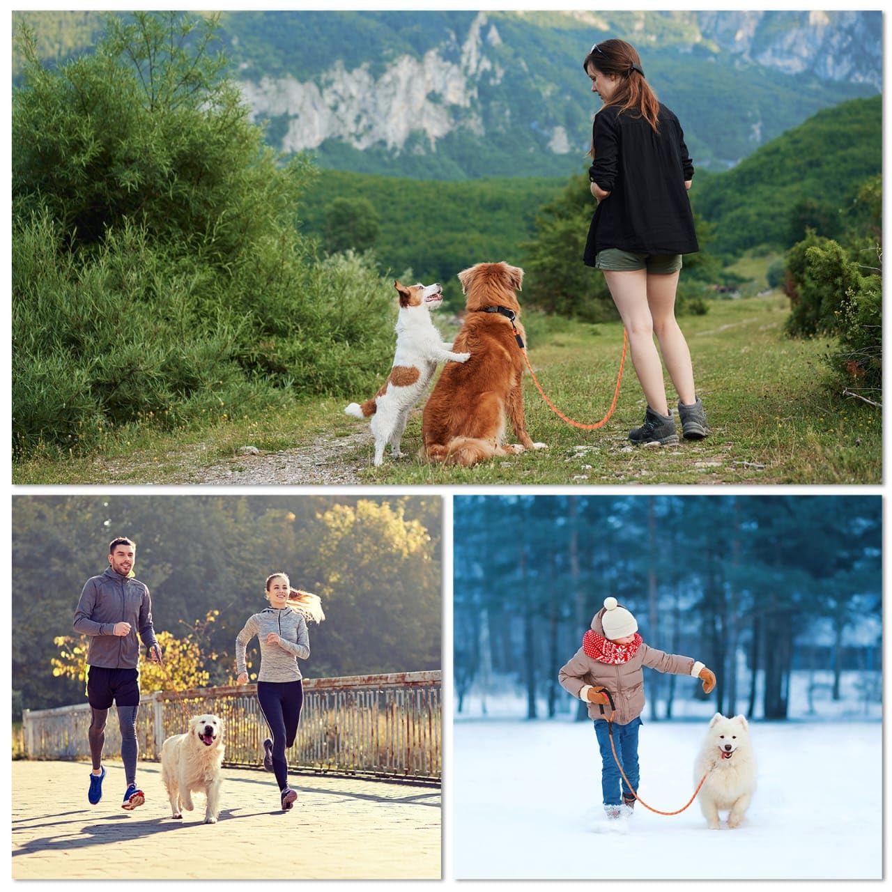 Loutep long leash outdoor camping-ready for versatile training sessions.