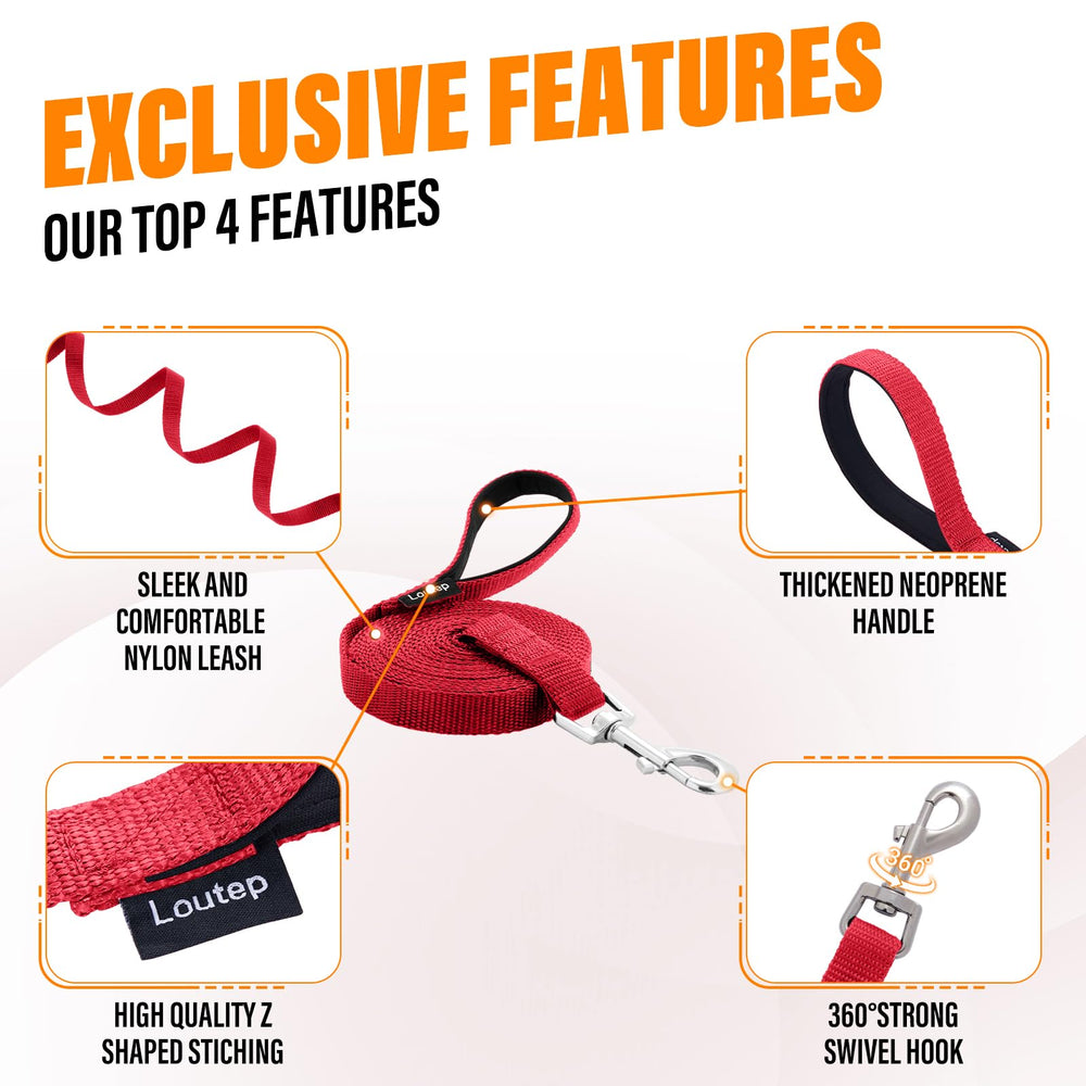 Loutep long line 100ft leash offers extended freedom with gentle guidance in open spaces.