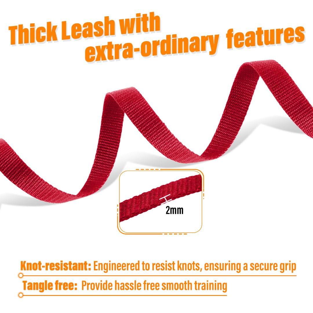 Loutep long line 20ft leash emphasizing sturdy nylon and controlled exploration.