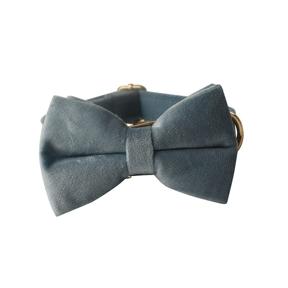 Love Dream bow tie collar petrol blue on-dog view highlighting detachable bow for easy cleaning.