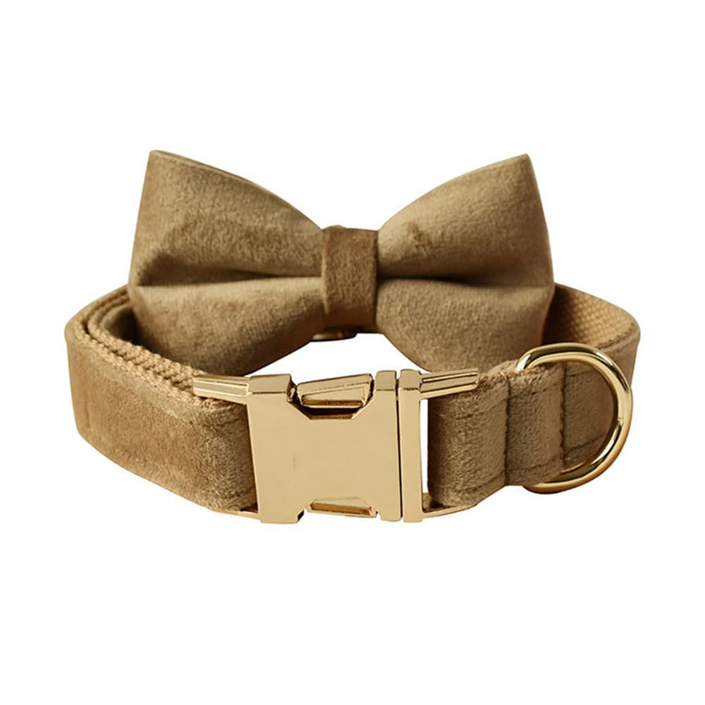 Love Dream Velvet Dog Collar with Bow displays the detachable bow for easy washing and style.