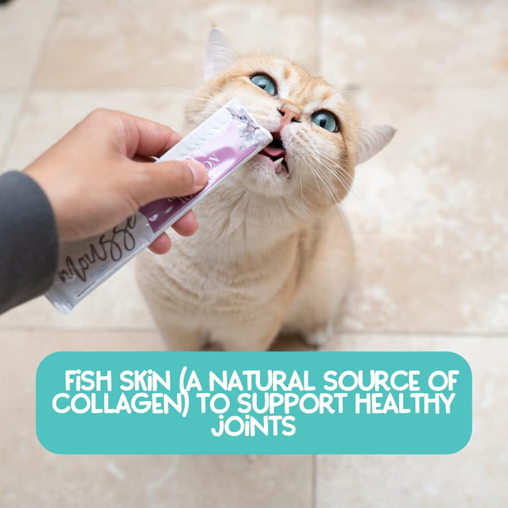 LOVE, NALA cat toppers squeeze-up spoon-serve demonstrates lickable meal enhancement