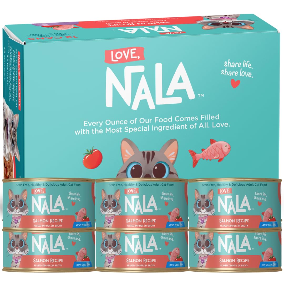 LOVE, NALA flaked salmon in broth bowl promoting hydration and gentle digestion