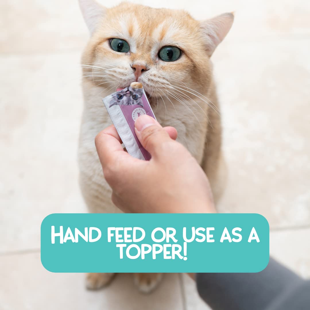 LOVE, NALA indoor-outdoor cat mealtime scene emphasizes everyday nutrition