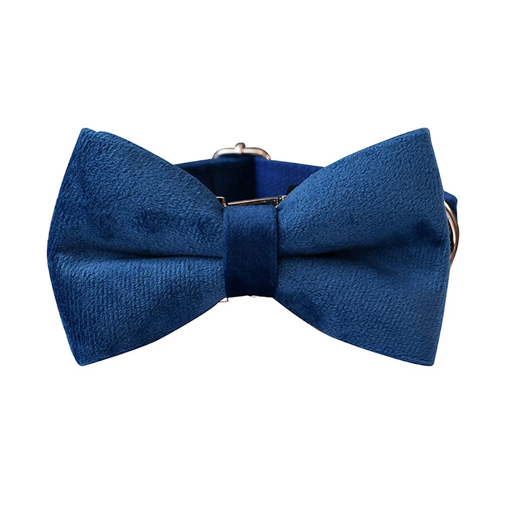 Love Dream velvet collar blue with detachable bowtie secured by Velcro for quick cleaning