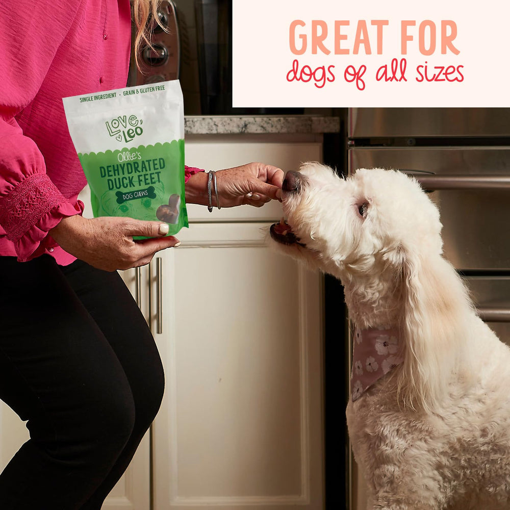 Love Leo duck feet grain-free ingredients emphasize protein-rich snack option.