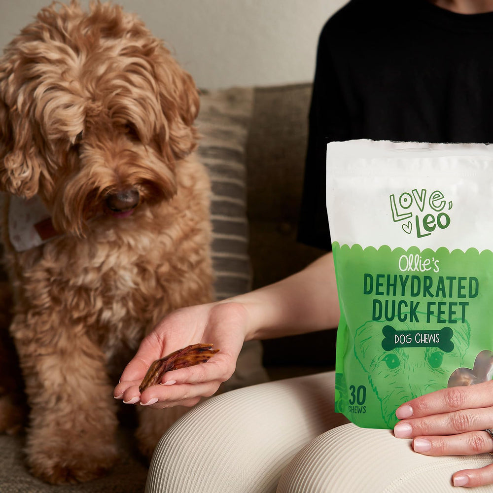 Love Leo duck feet texture closeup highlights crunchy chew for dental care.