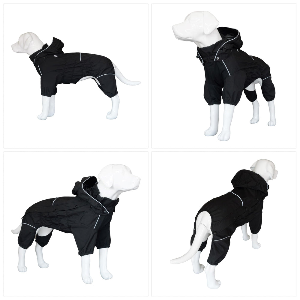 Lovelonglong all-season rain gear ready for daily walks and hikes.