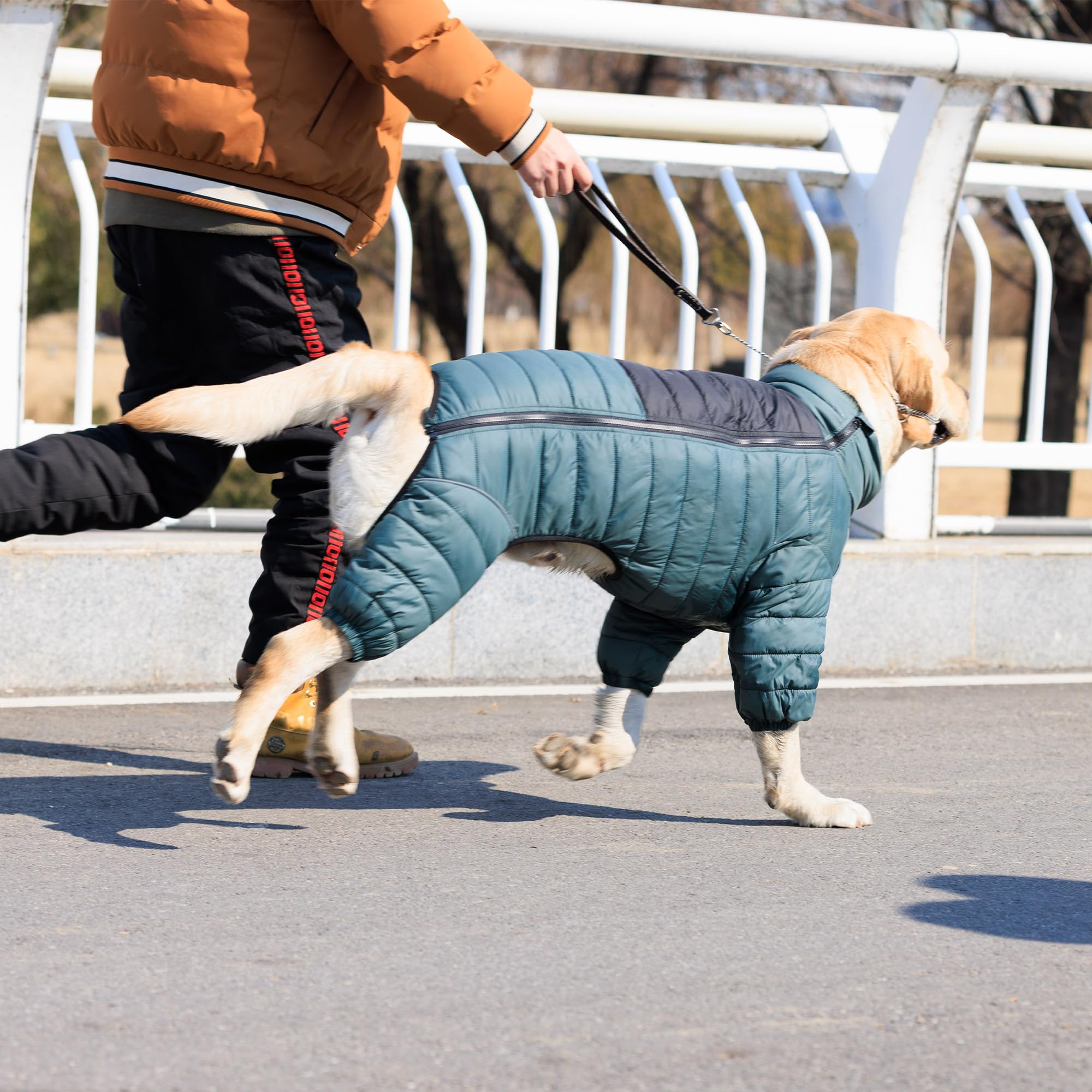 Lovelonglong ArmyGreen Dog Warm Coat adjustable chest and neck straps for fit