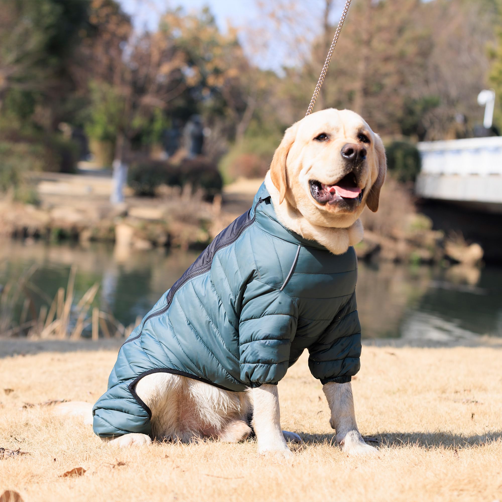 Lovelonglong ArmyGreen Dog Warm Coat reflective details for safe evening walks